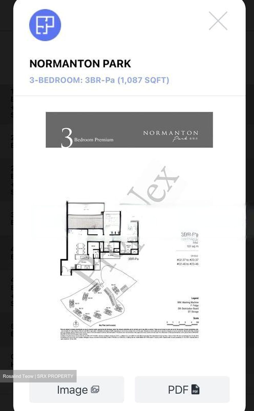 Normanton Park (D5), Apartment #499404061